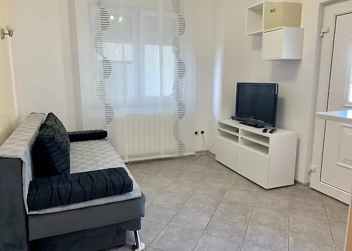 公寓 Zakinja 波尔托罗